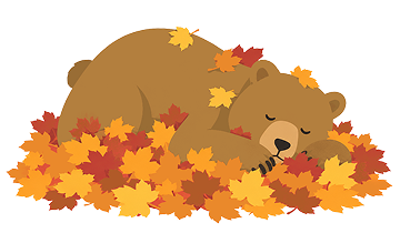 A bear sleeping among colorful fall leaves